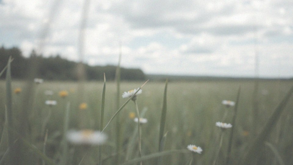 Kiedy należy wezwać pomoc medyczną po użądleniu osy?