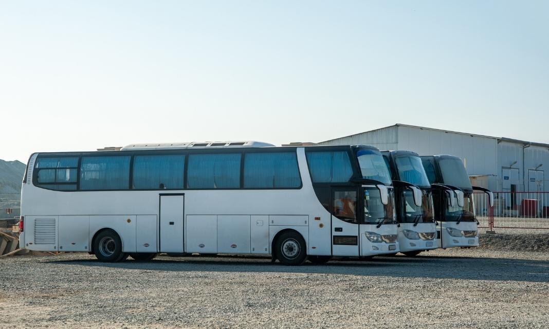 Wypożyczalnia Busów Lubin